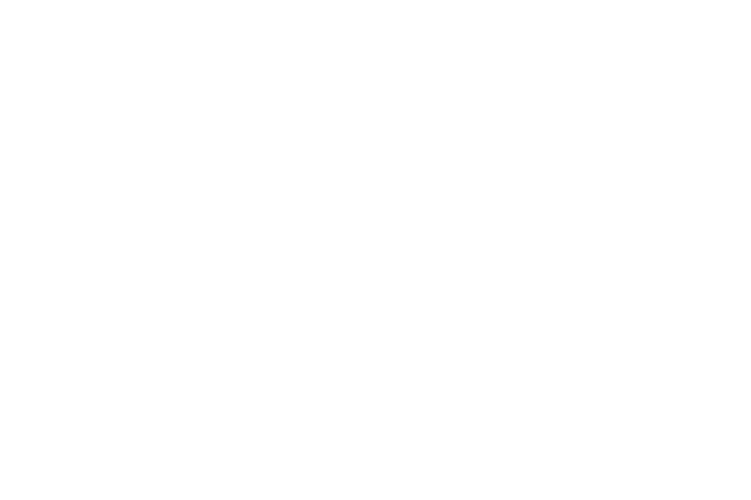 Self Psicologia